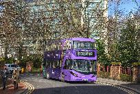 2019_02_11_8905_www.jpg