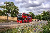 2022_06_29_065_www.jpg