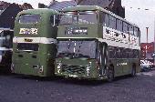 18_136_89.jpg