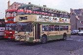 18_137_89.jpg