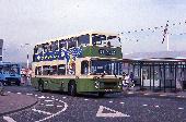 24_165_98.jpg