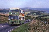 24_169_98.jpg
