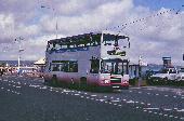 25_513_01.jpg