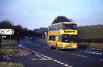18_385_91.jpg