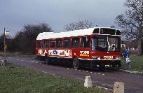 18_386_91.jpg