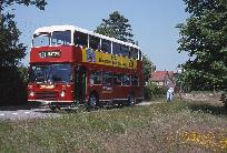 21_333_95.jpg