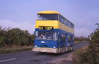 21_490_95.jpg