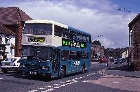 24_379_99.jpg