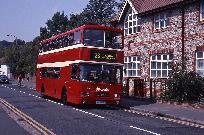 24_451_99.jpg