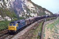 14_115_86_www.jpg