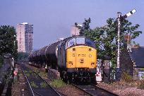 17_087_88_www.jpg
