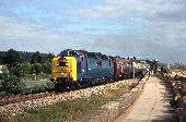24_55022_Dawlish_Warren.jpg