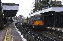 2010_11_27_3096_www.JPG