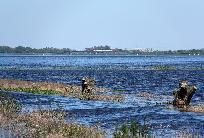 2012_05_26_4840_www.jpg