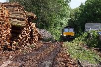 2012_06_06_4885_www.jpg