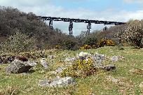 2013_05_05_0197_www.jpg