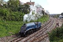 2014_04_19_2809_www.jpg