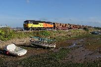 DSC02187_www.jpg