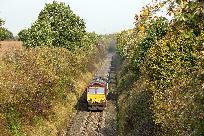 2017_10_16_7676_www.jpg