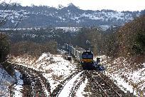 2018_03_19_7903_www.jpg