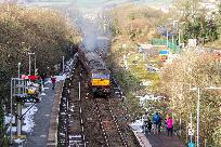 2019_02_03_8833_www.jpg