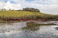 2019_02_03_8846_www.jpg