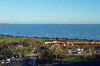 20200119_141015_www.jpg