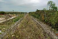 20211105_140841_www.jpg