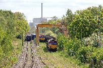 2021_05_27_007_www.jpg