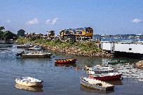 2021_07_21_020_www.jpg