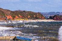 2023_02_26_015_www.jpg