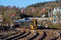 2023_03_14_031_www.jpg