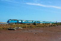 2023_04_04_027_www.jpg
