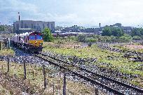 2023_05_03_005_www.jpg