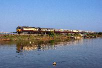 2023_06_03_012_www.jpg