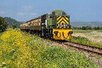 2023_06_09_006_www.jpg