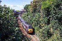 2023_08_22_003_www.jpg