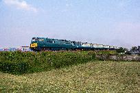 2024_06_01_020_www.jpg