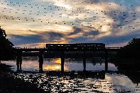 2026_06_21_007_www.jpg