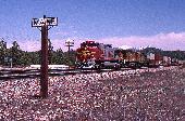 25_81_00.jpg