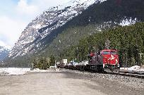 2011_04_20_3491_www.jpg