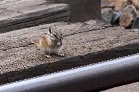 2011_04_21_3512_www.jpg