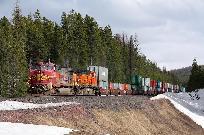 2011_05_03_3737_www.jpg