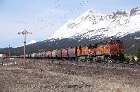 2011_05_05_3774_www.jpg