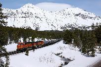 2011_05_05_3785_www.jpg