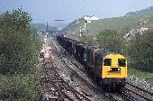 11_102_84.jpg