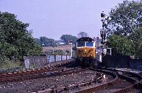15_193_87.jpg