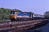 15_194_87.jpg