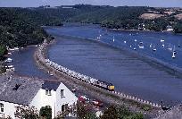 18_97_89.jpg