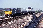 15_133_87.jpg